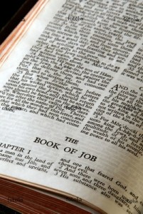 Job bible